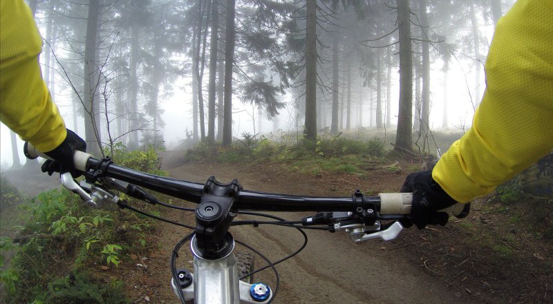 Fahrrad im Wald beim Trekking