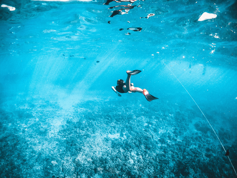 Unterwasserbild von einem Schnorchler