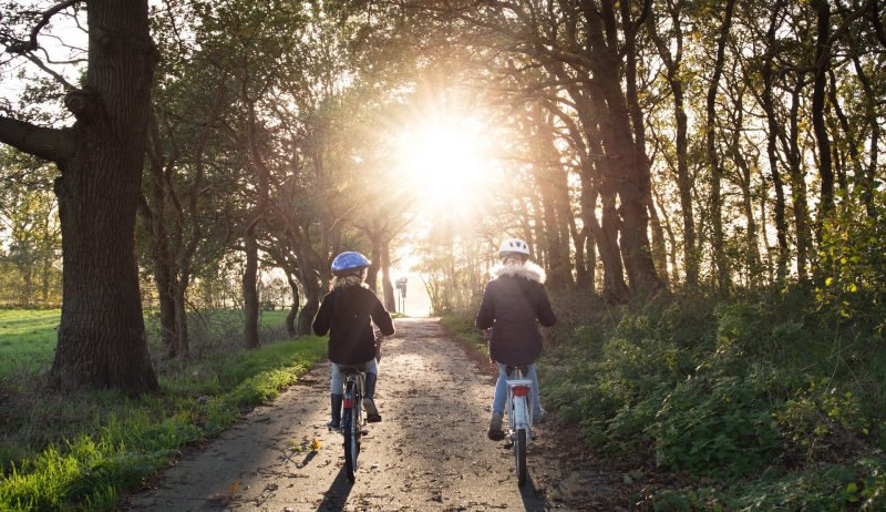Kinder beim Fahrradfahren im Wald